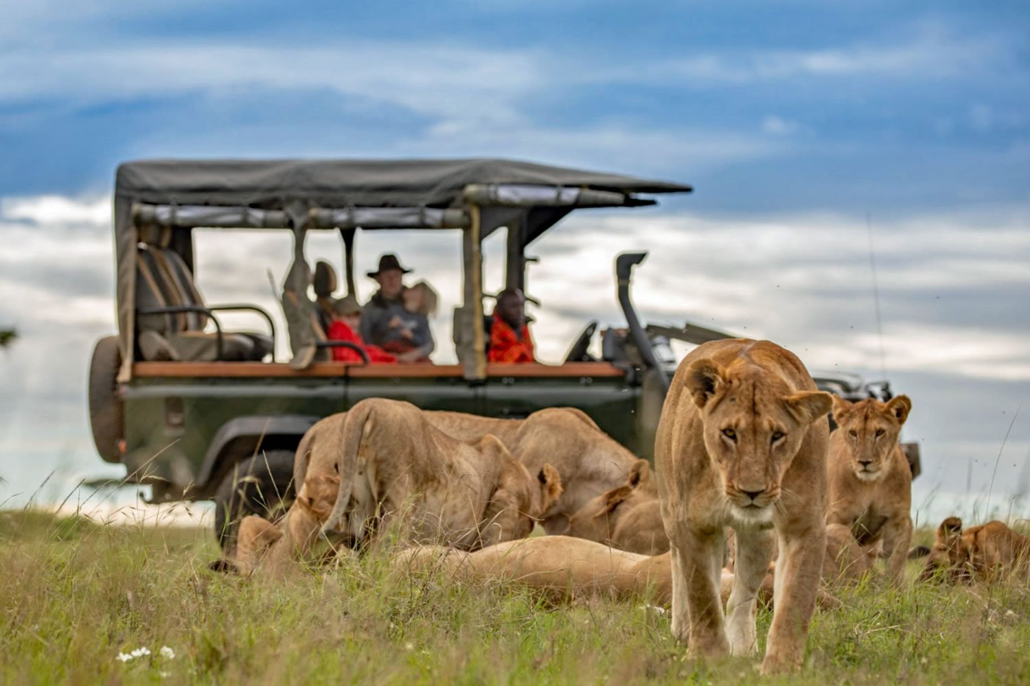 safari villa homes